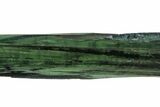 Gemmy, Emerald-Green Vivianite Crystals - Brazil #209959-1